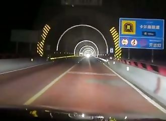 Blinded by headlights, she plowed into a herd in a tunnel