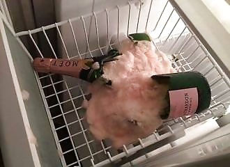 Les photos fun et insolites du 27 juin 2023