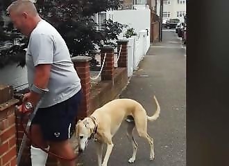 Par compassion, un chien imite son maître qui boite (Royaume-Unis)