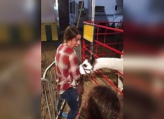 Les photos fun et insolites du 01 mai 2020