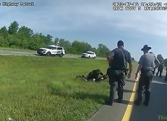 La police lâche un chien sur un homme avec les mains en l'air