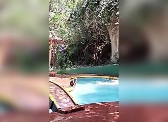 Les singes aussi savent s'amuser !