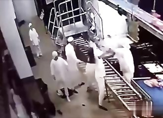 General fight in a bakery in Russia