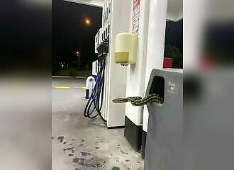 Les photos fun et insolites du 01 juin 2023