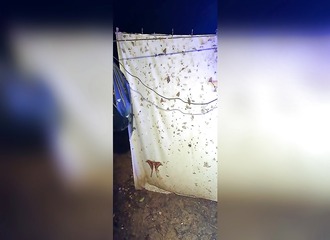 Il tend un drap blanc avec une lampe pour attirer des insectes, un monstre géant s'incruste en bas à gauche