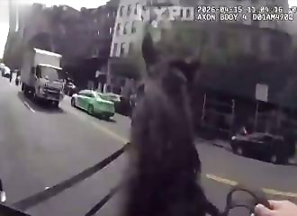 Elle vole un sac à New York et tombe sur un flic à cheval… mauvais timing