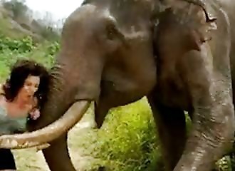 Woman attacked by an elephant after teasing the animal with a fruit