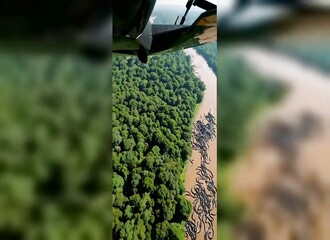 Des centaines d'anacondas découverts dans l’Amazone ?