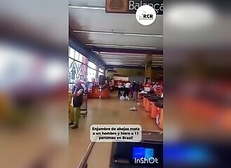 Deadly bee attack in a Brazilian supermarket