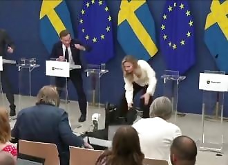 swedish minister faints at her first conference