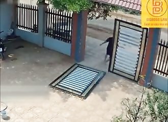 Une courageuse épouse vole au secours de son époux