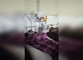 India: Hospital ward infested with rats causes scandal