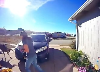 Elle fait l'erreur de s'attaquer à un cerf (Ouch)