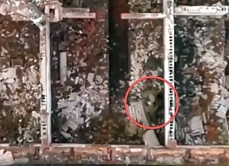 2 soldats dérangés par une bombe lors d'un moment intime