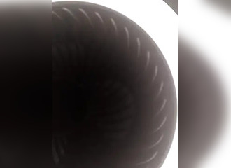 Join her in LIVE !