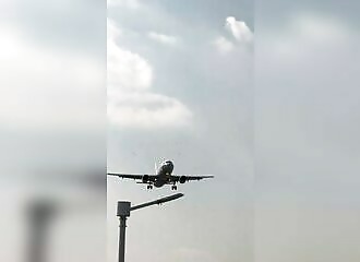 Un Airbus annihile un groupe d'oiseaux en Chine