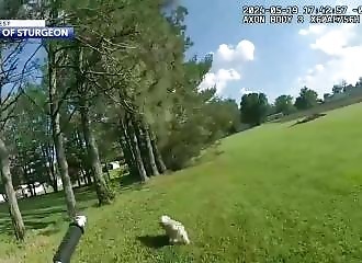 Vidéo Horrifiante : Un policier Idiot Tue un Petit Chien Sourd et Aveugle
