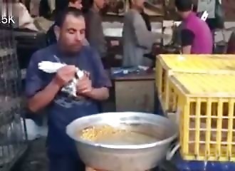 Gaver des pigeons en faisant du “bouche-à-bouche”