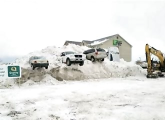 Les photos fun et insolites du 01 février 2023